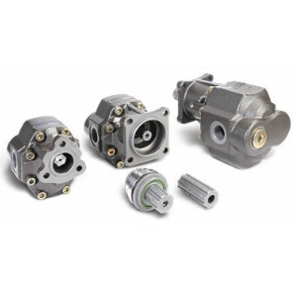 Casappa Formula pumps