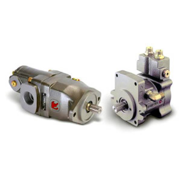 Casappa Plata LF motor