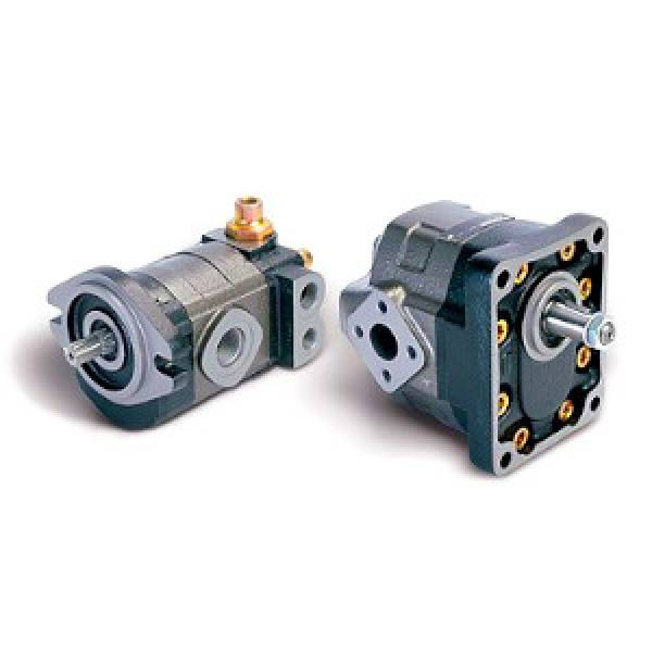 Casappa Kappa motors