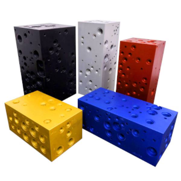 Eurofluid custom manifold blocks